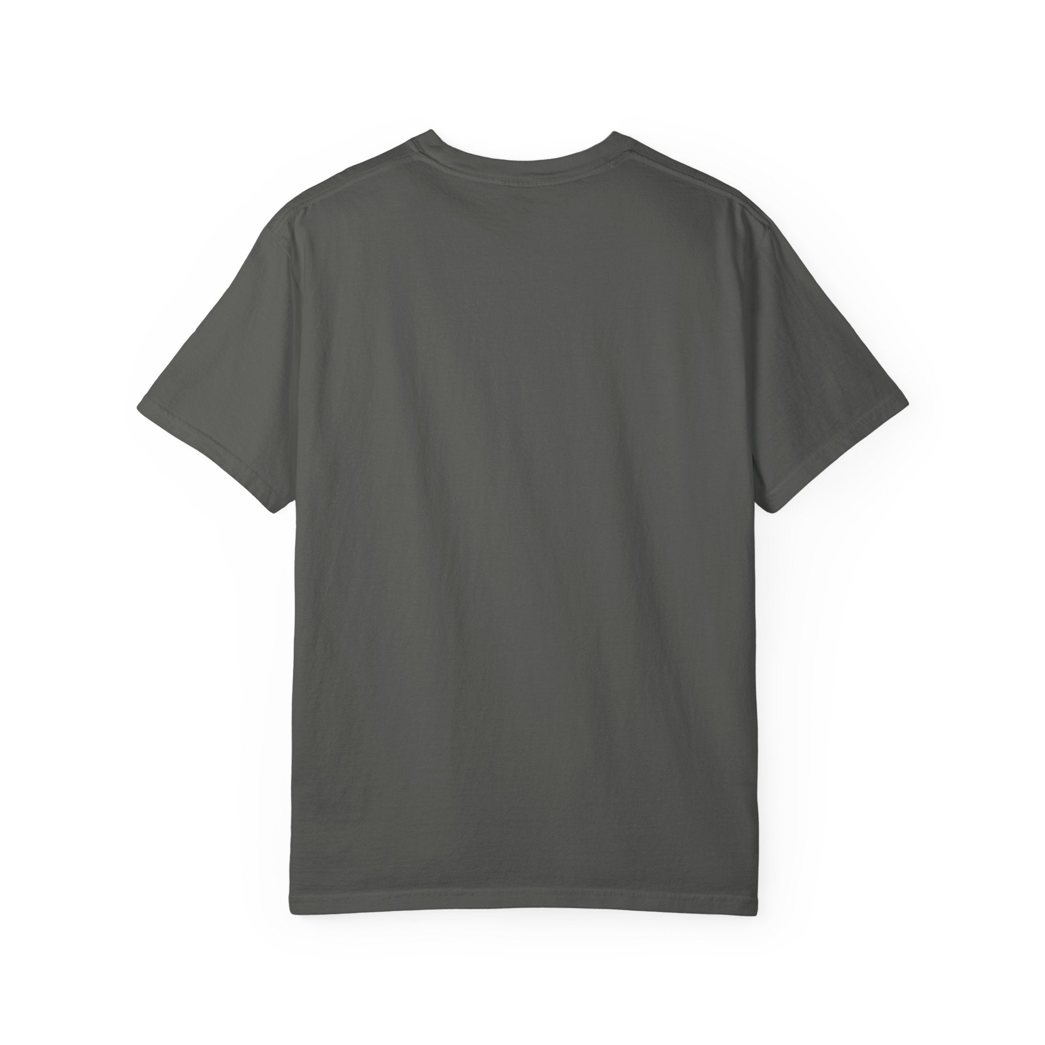 It's a Faith Journey Christian T-Shirt | Proverbs 3:5–6 | Comfort Colors Inspirational Graphic Tee